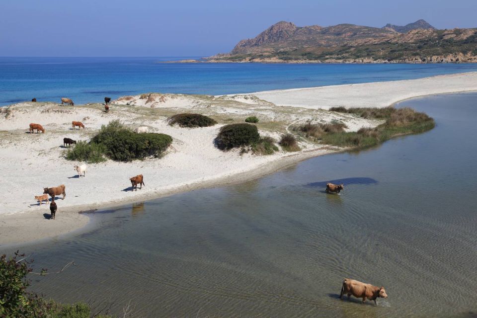 Plage de l'Ostriconi