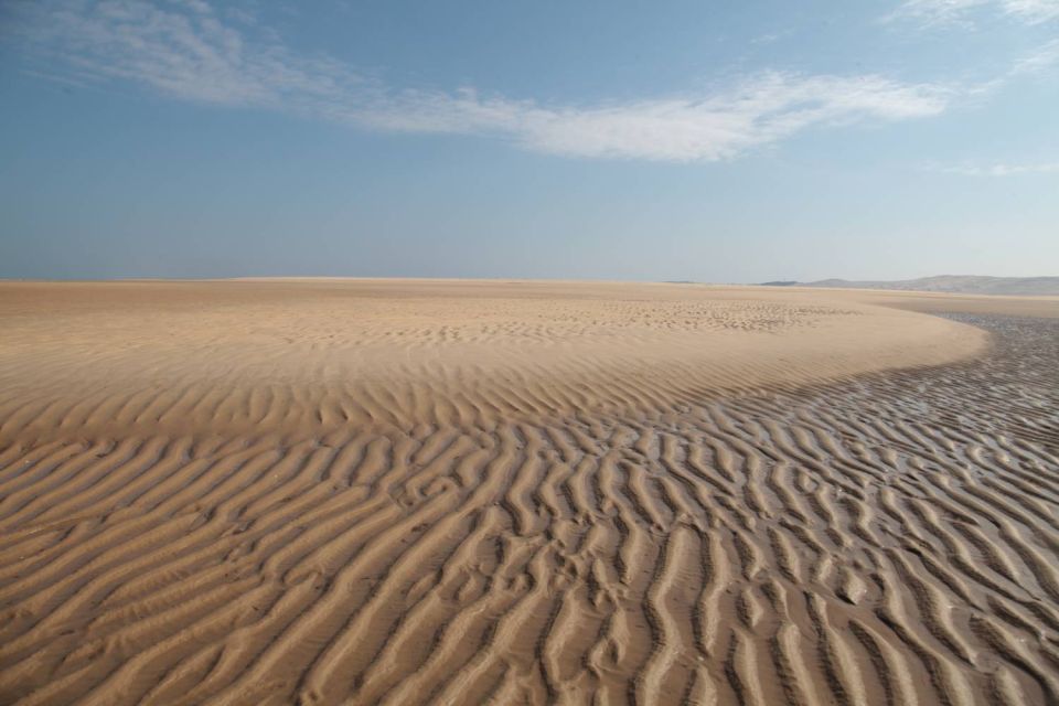 Bassin d'Arcachon à marée basse