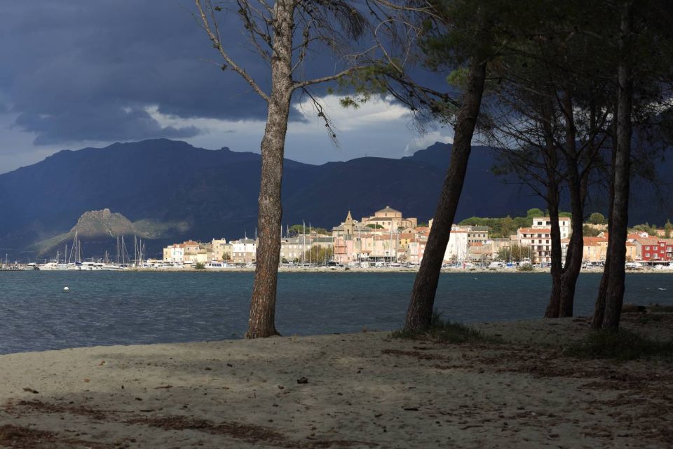 Saint Florent à travers les pins