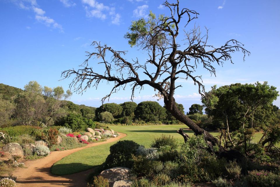 Parc de Saleccia