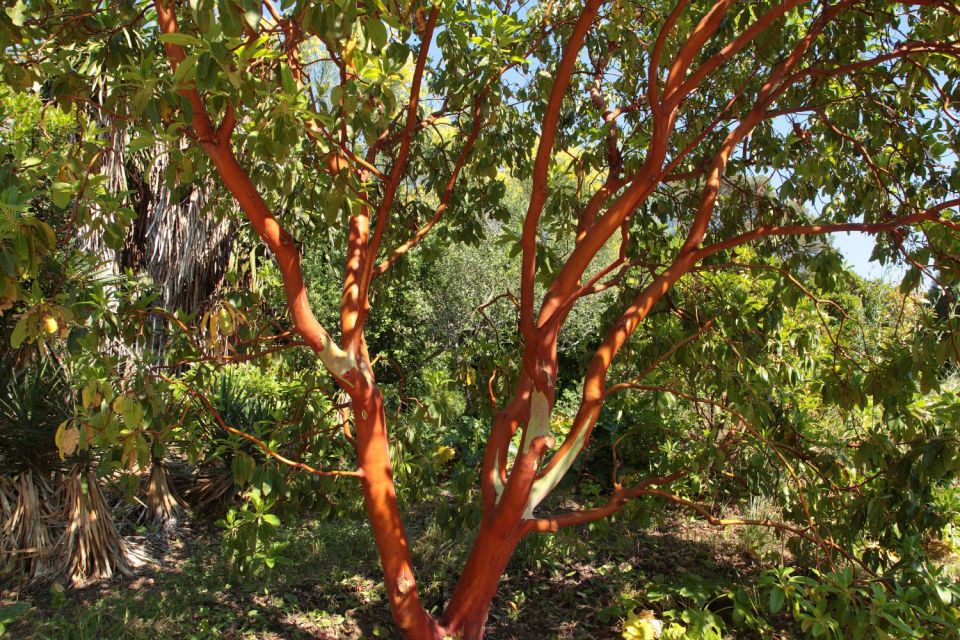 Jardin du Rayol Canadel - Côte d'Azur