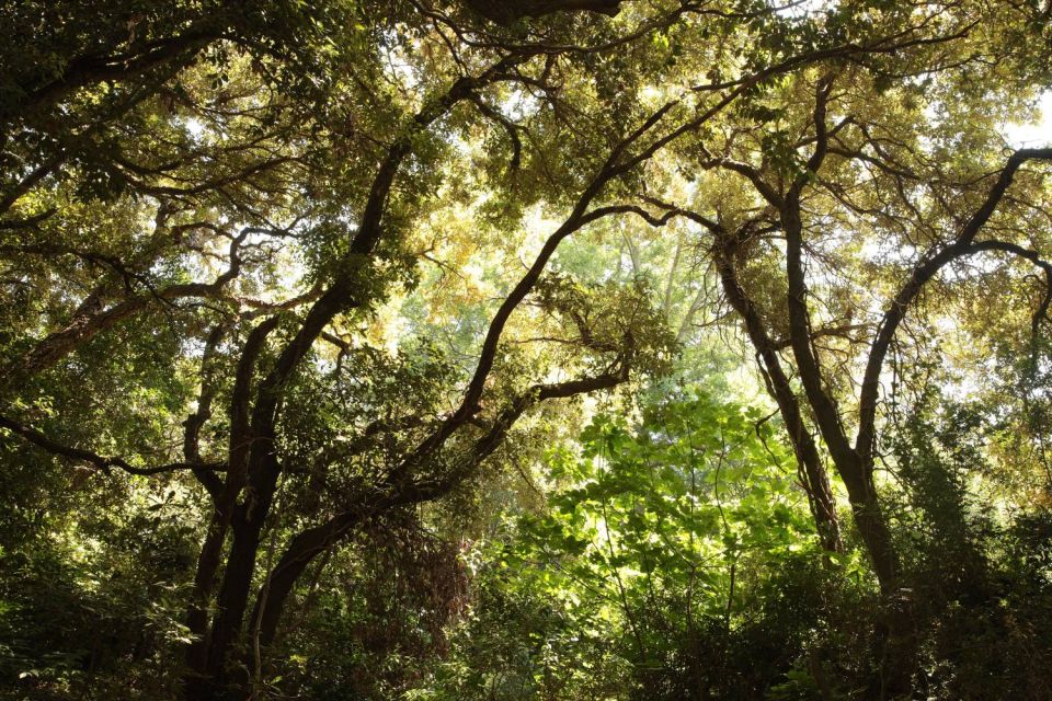 Jardin du Rayol Canadel - Côte d'Azur