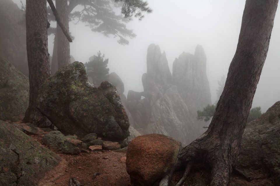 Pins et rochers dans la brume à Bavella - 1