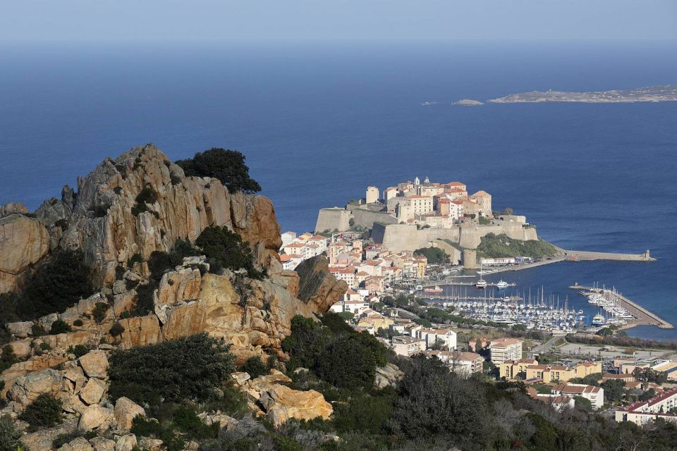 Calvi